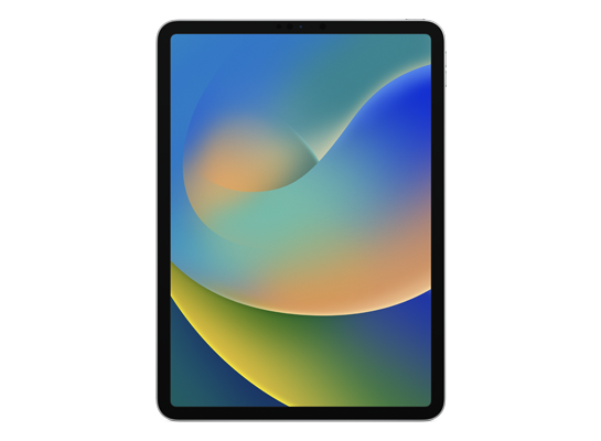 iPad Pro 11-inch (4th generation)